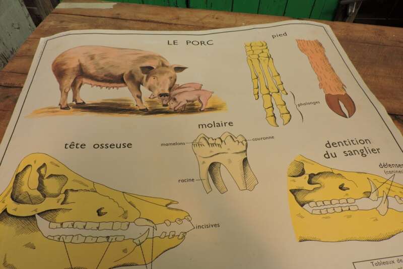 Plaat la vache/ le porc - Afbeelding 2